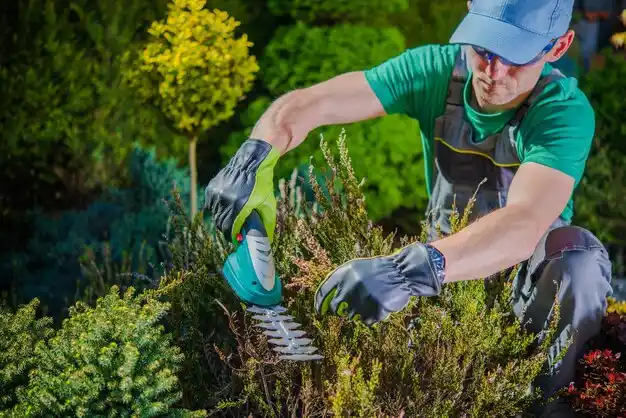 landscaping services Montpelier